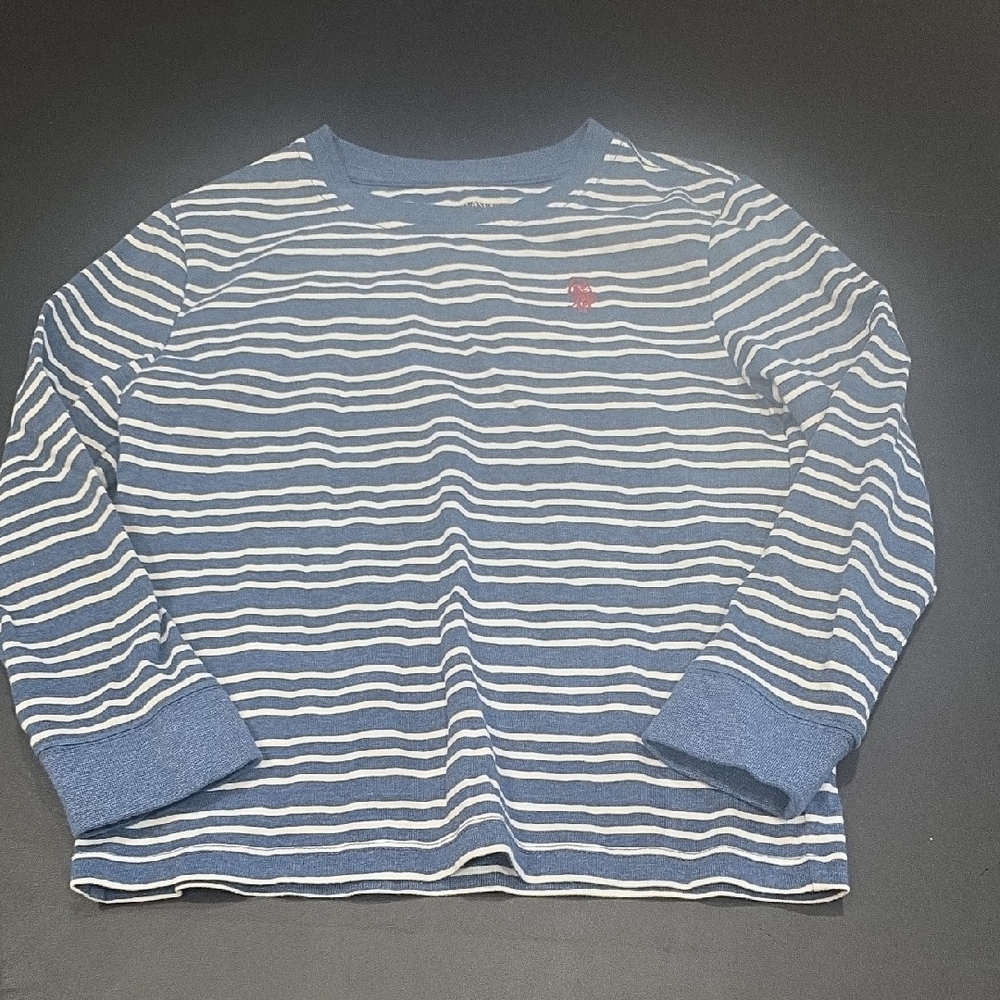 U.S. Polo Assn. Kids Blue and White Striped Long Sleeve Tee